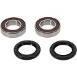 Pivot Works Gas-Gas, Kawasaki, Suzuki Wheel Bearing Kit Premium Bearings Online