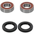 Pivot Works Arctic Cat, Honda, Kymco Wheel Bearing Kit Premium Bearings Supply