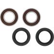 Pivot Works Gas-Gas, Kawasaki, Suzuki Wheel Bearing Kit Premium Bearings Online