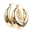 CHUBBY HOOP EARRINGS GOLD For Sale